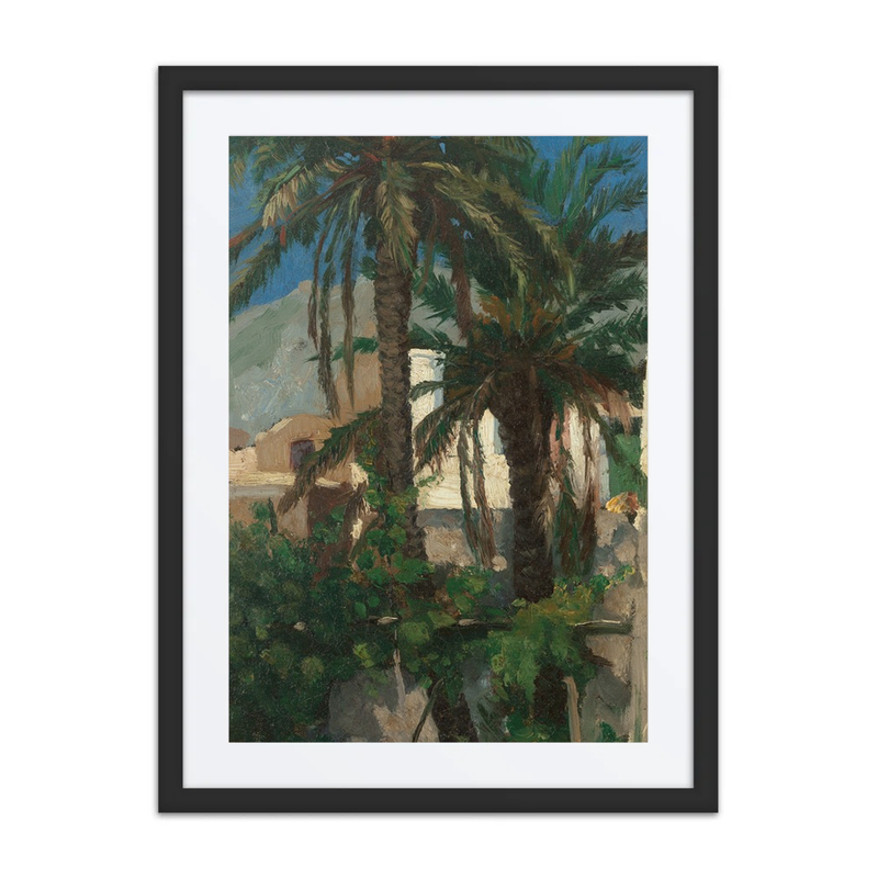 Palms, Capri
