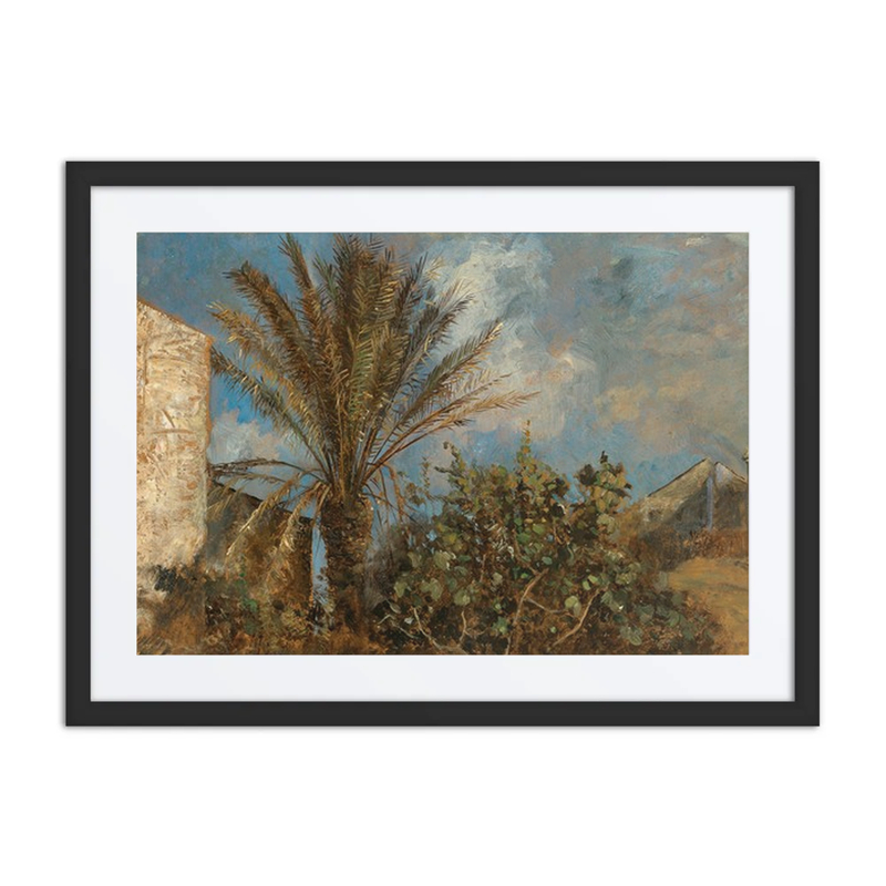 Palms in Corfu