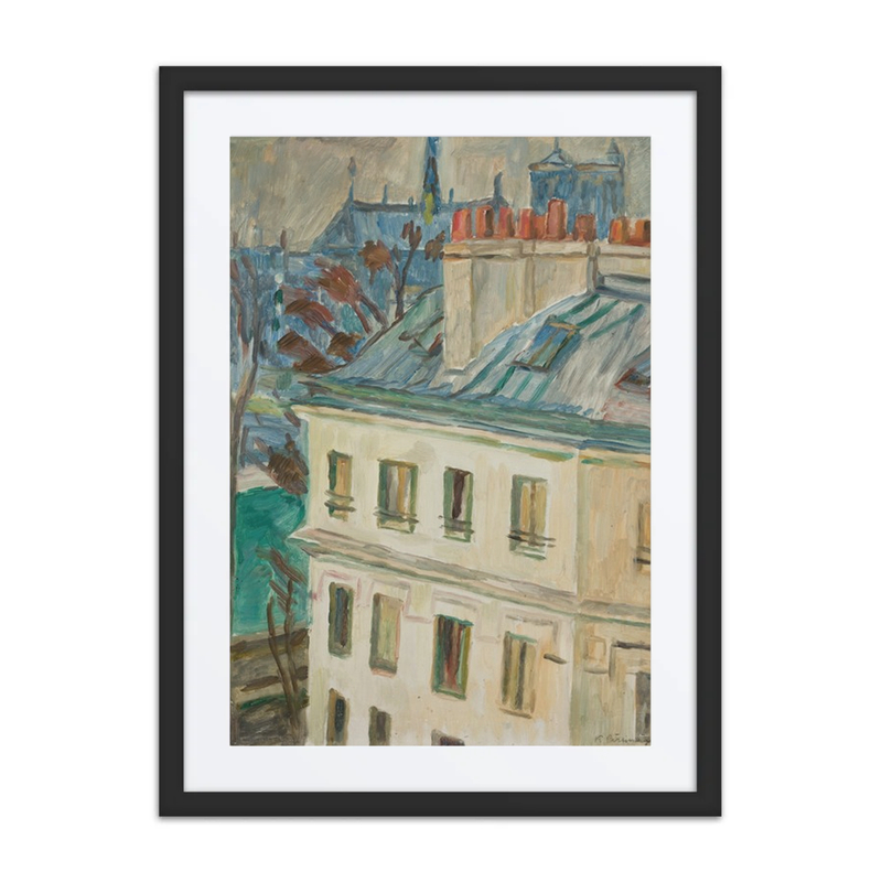 Parisian Rooftops