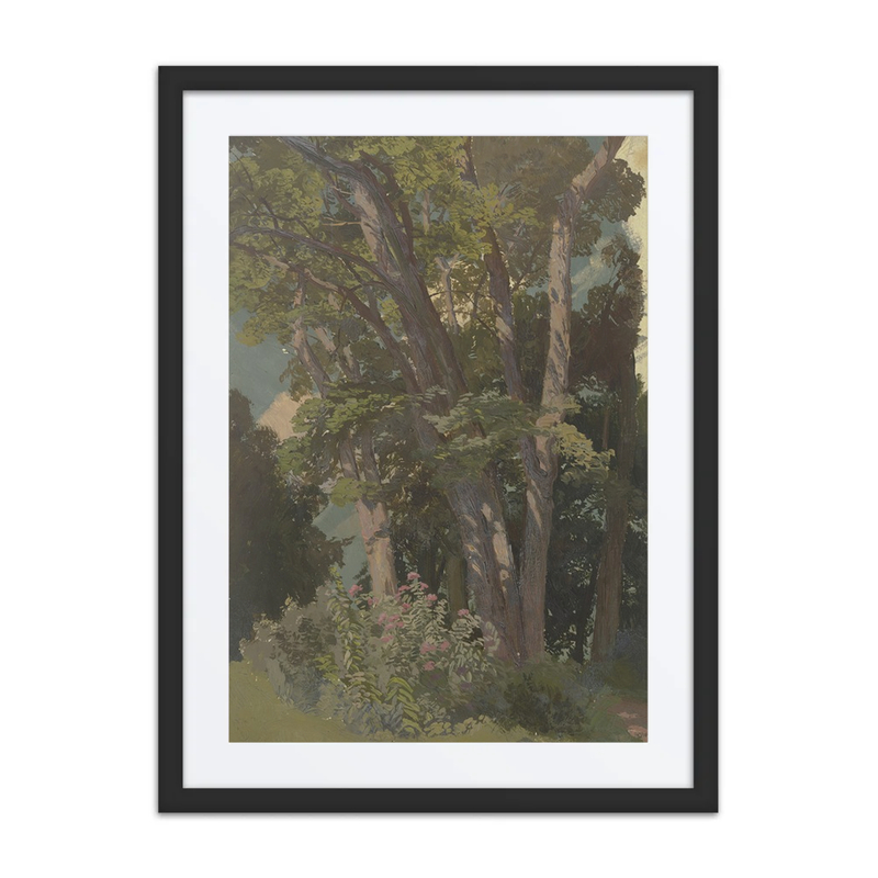 Park Study, Glade