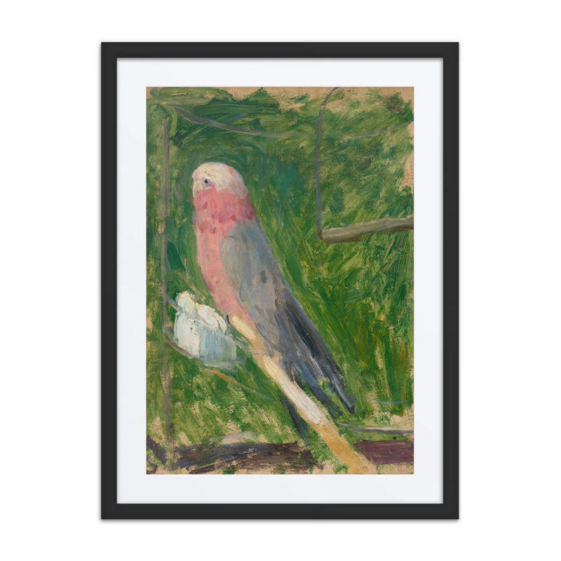Parrot
