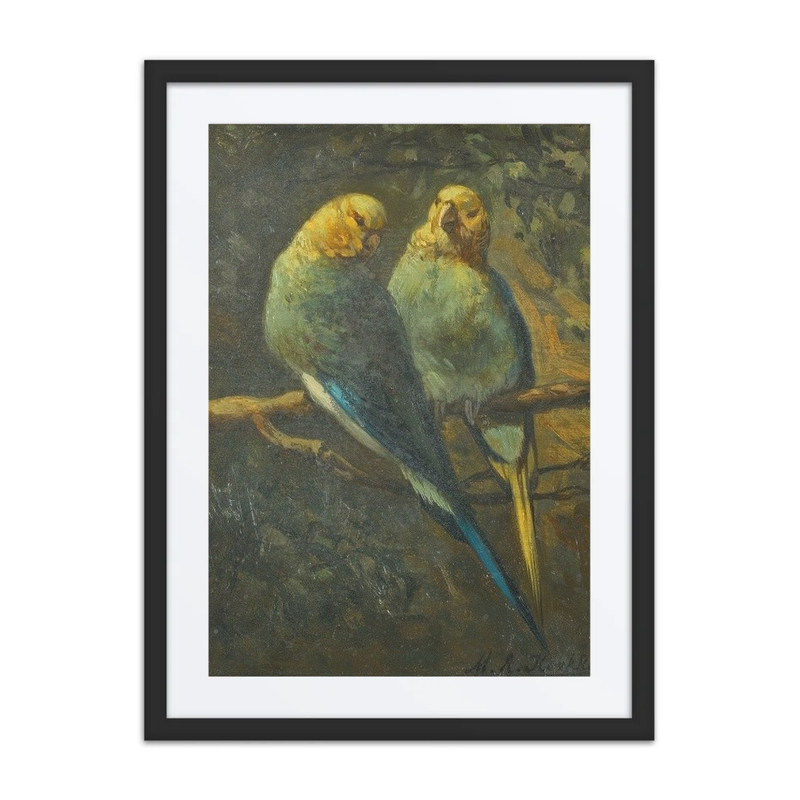 Parrots