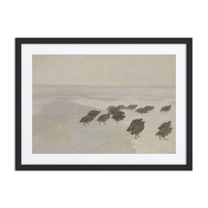 Partridges in Snow