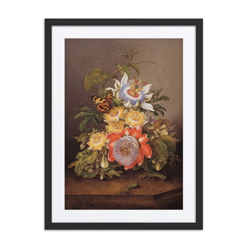 Passionflowers and Butterfly