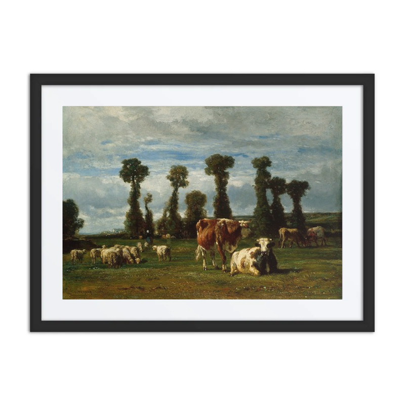 Pasture in Normandy