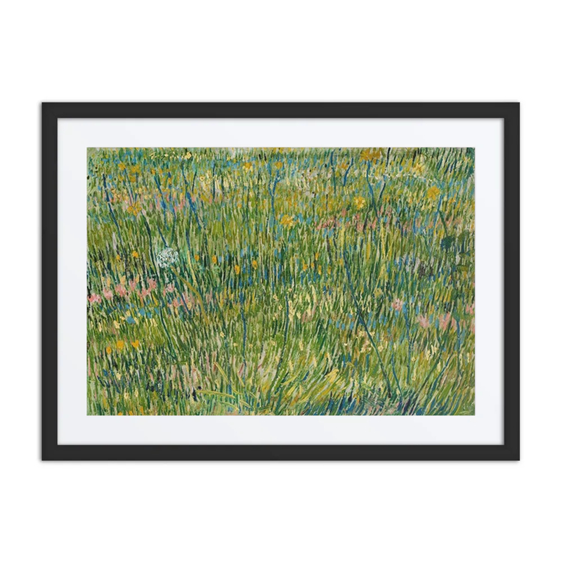 Patch of Grass