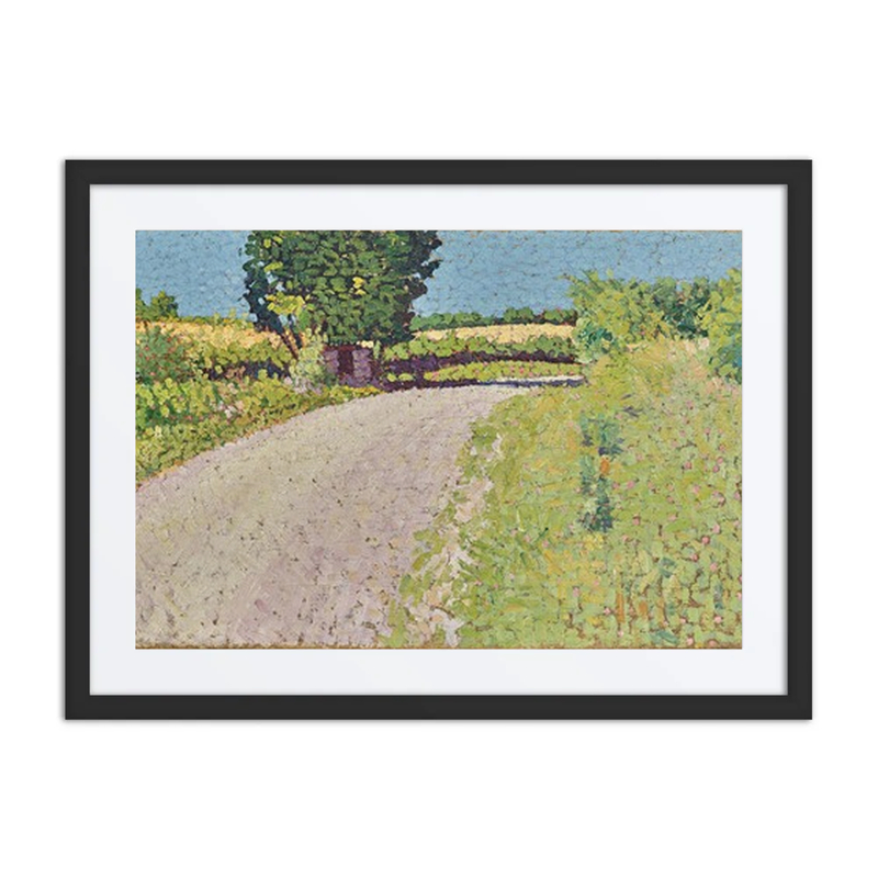Path in the Country