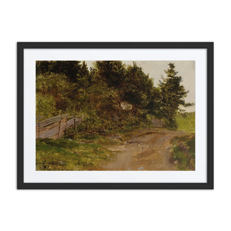 Path in the Forest