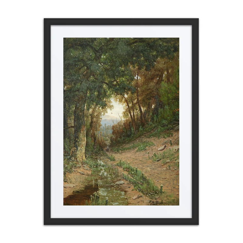 Path in the White Mountains