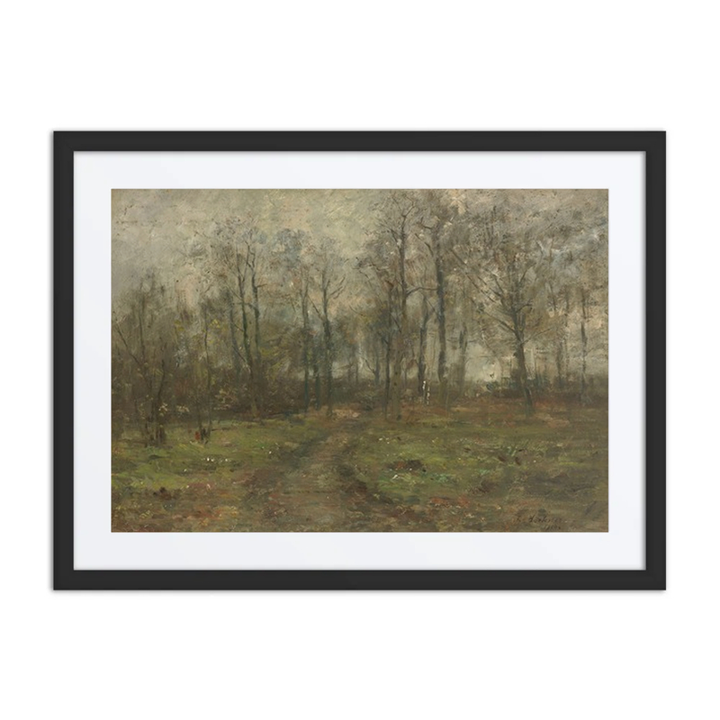 Path in the Woods