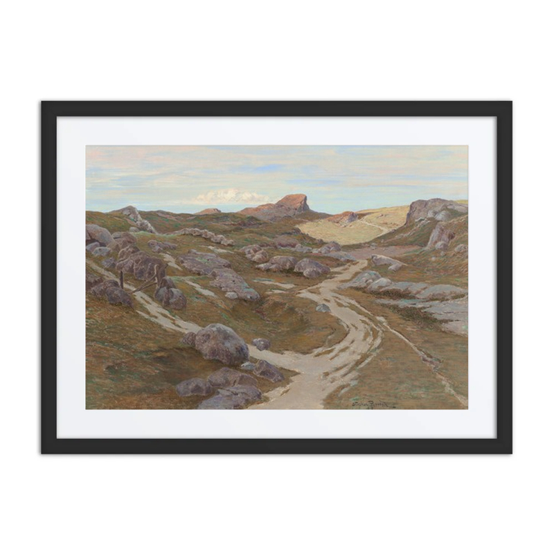 Path Through a Rocky Landscape