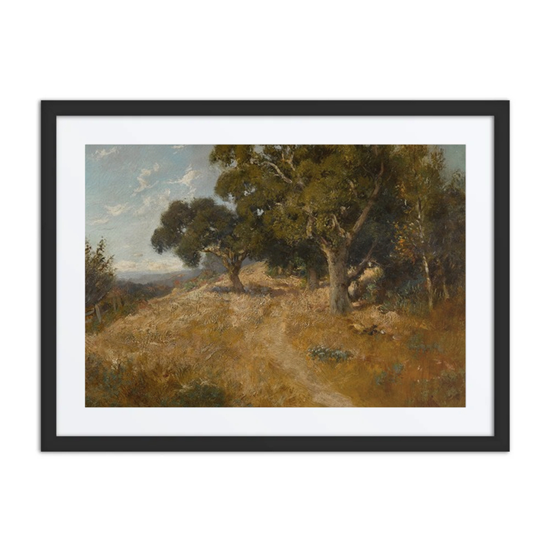 Path Through California Oaks
