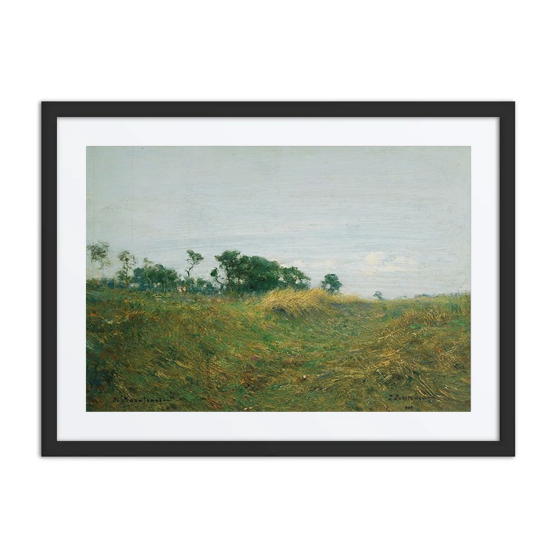 Path Through the Grass