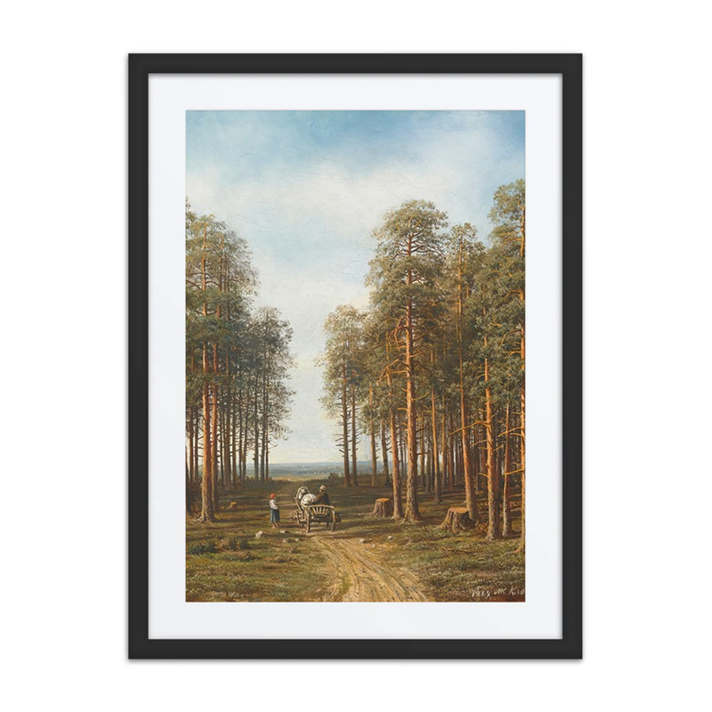 Path Through the Pine Forest