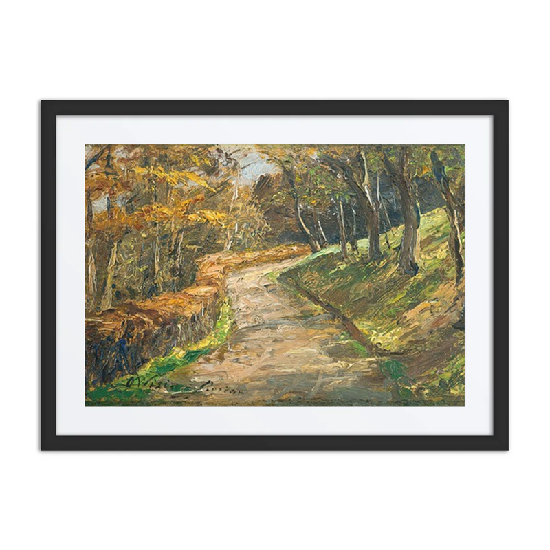 Pathway in Early Spring
