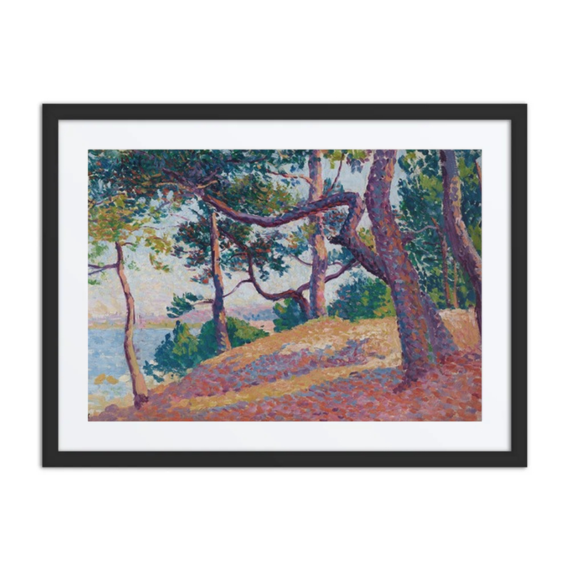 Paysage à Saint-Tropez