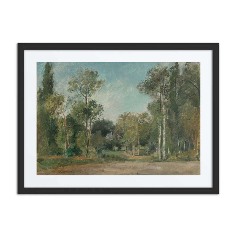 Paysage Boisé