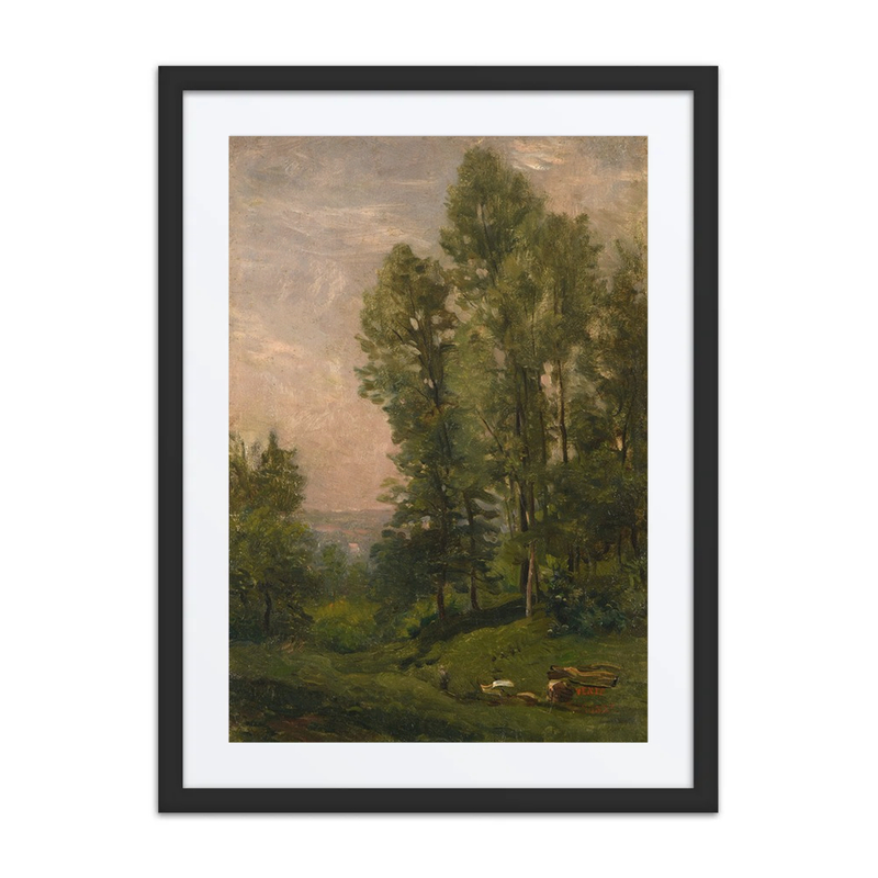 Paysage