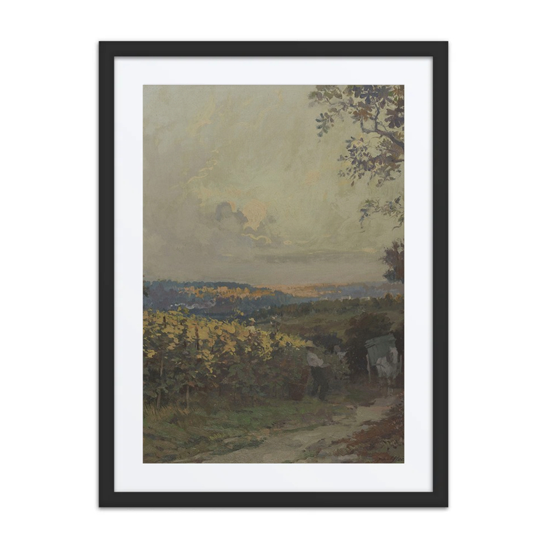 Paysage D’Automne