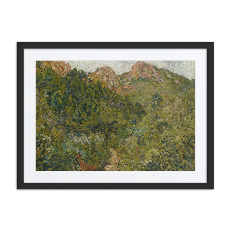 Paysage du Midi
