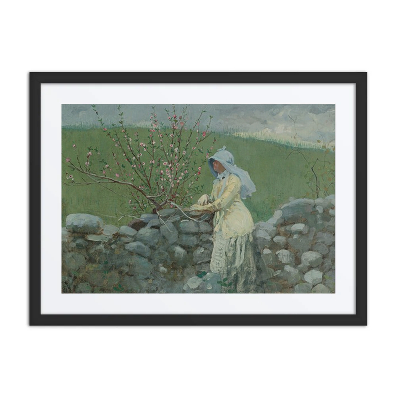 Peach Blossoms