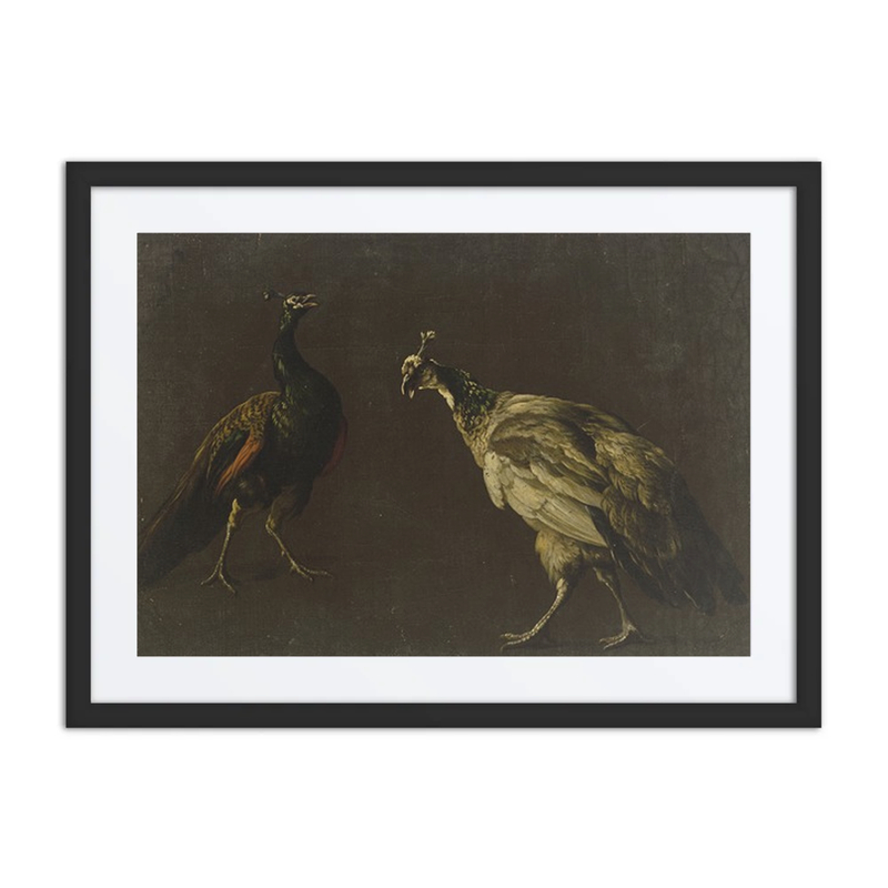 Peacock and Peahen