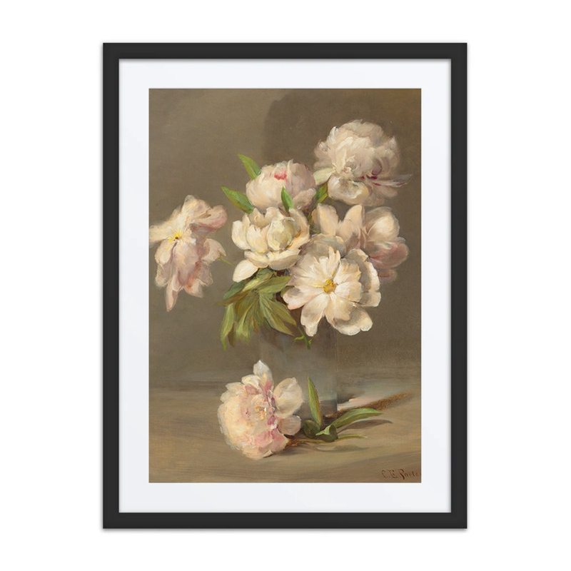 Peonies in a Vase