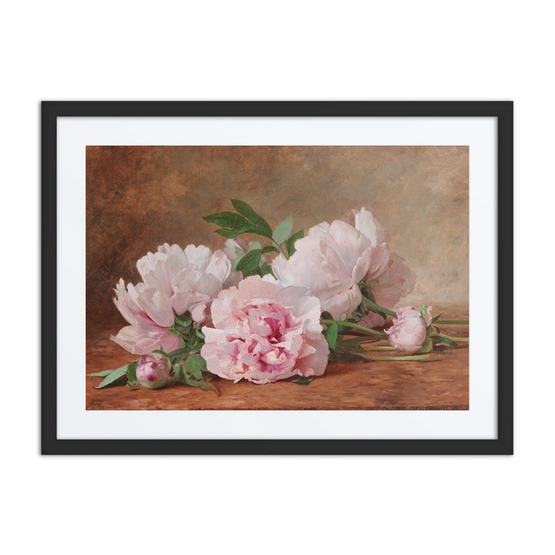 Peonies
