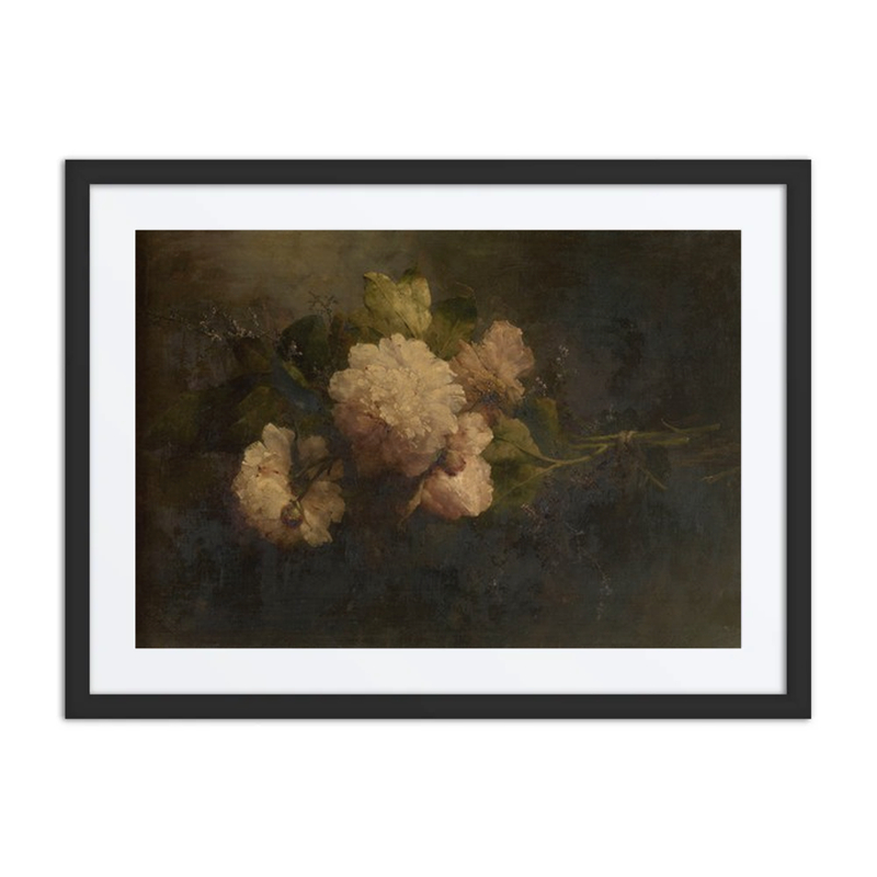 Peonies