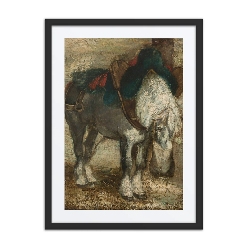 Percheron in Harness