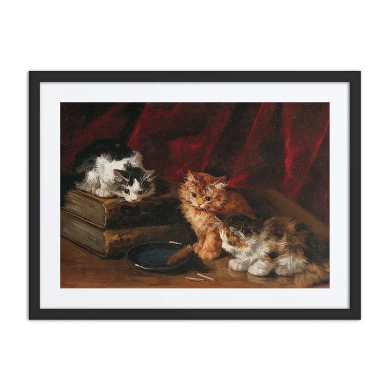 Perplexed Kittens
