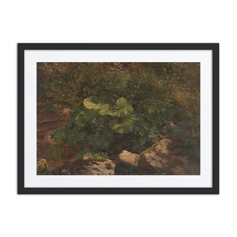 Pflanzenstudie (Plant Study)