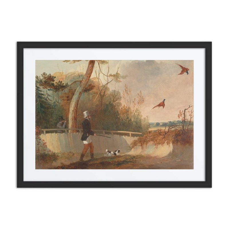 Pheasant Shooting