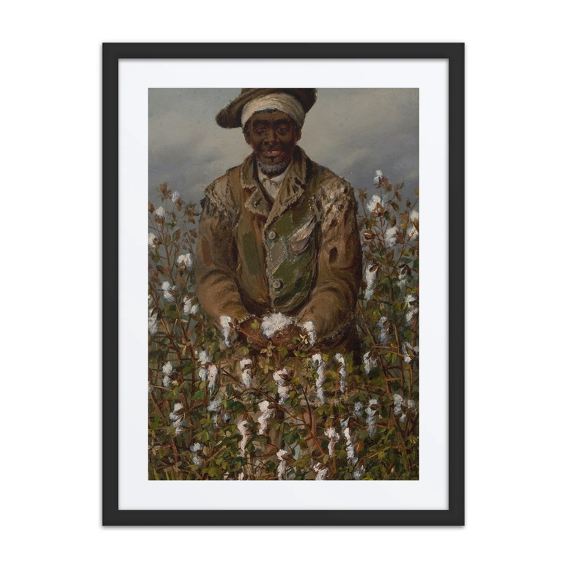 Pickin’ Cotton