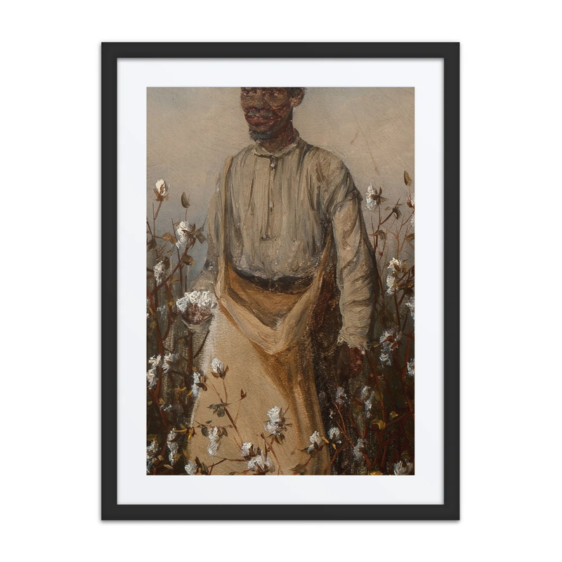 Picking Cotton