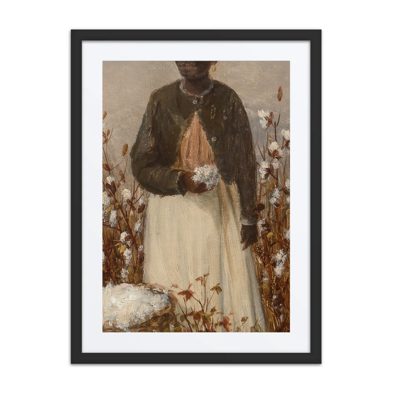 Picking Cotton