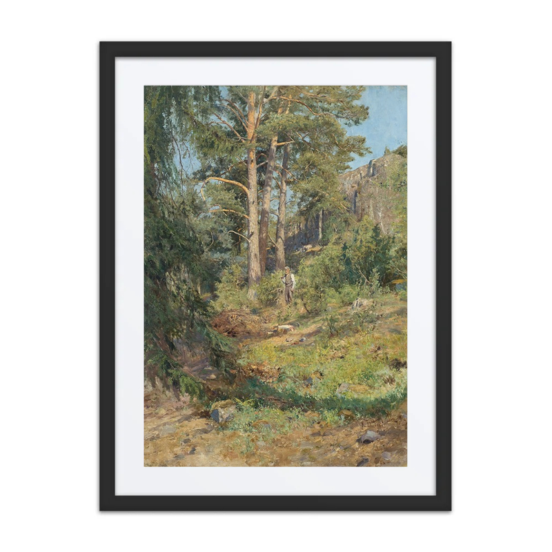 Pine Forest, Skutudden