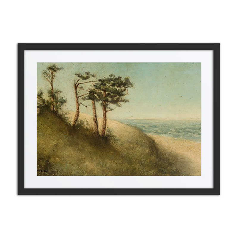 Pine Trees by the Sea