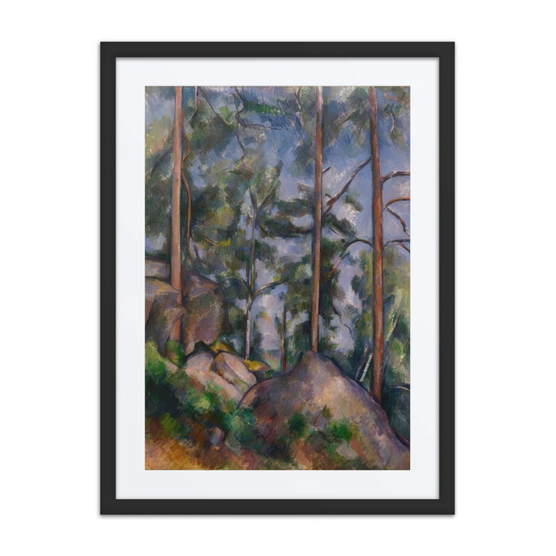 Pines and Rocks