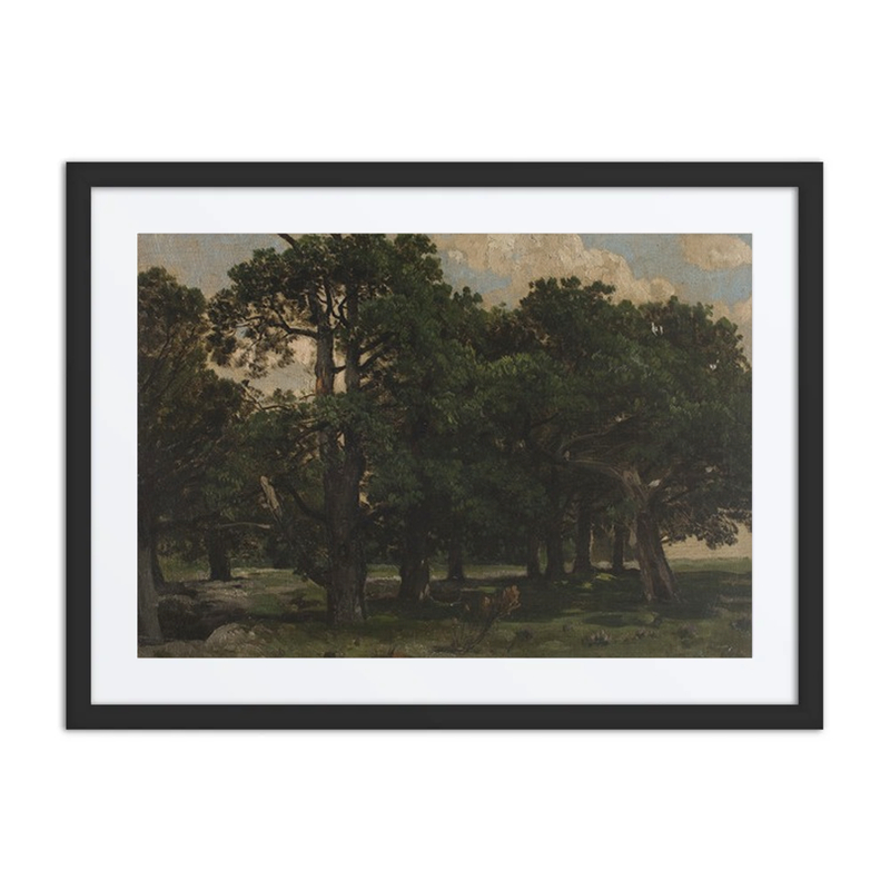 Pines