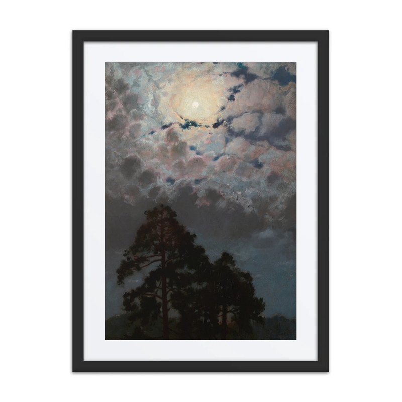 Pines Under Moonlight