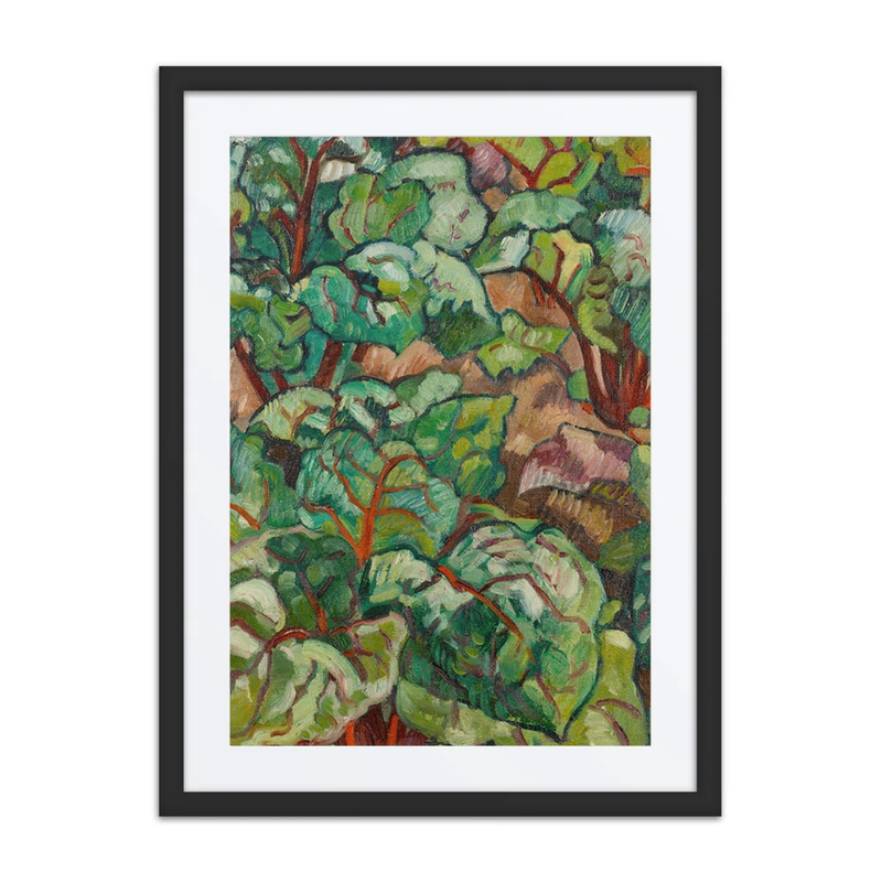 Plantes Vertes