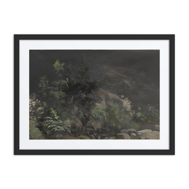 Plants on Rocks