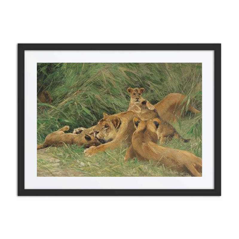 Playing Lions