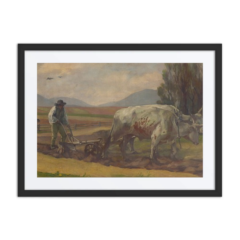 Ploughing