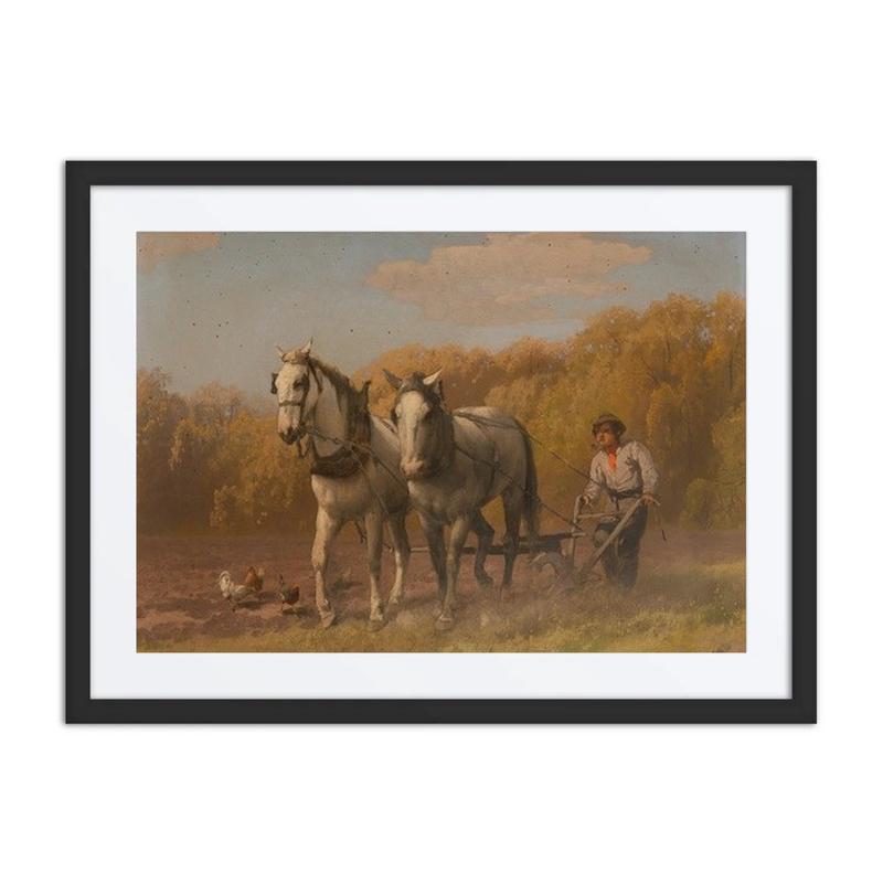 Plowing for the Next Crop