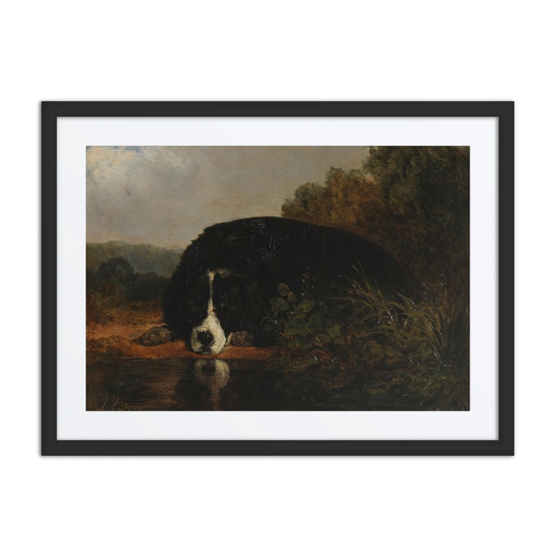 Pluto, the master’s Favorite Dog