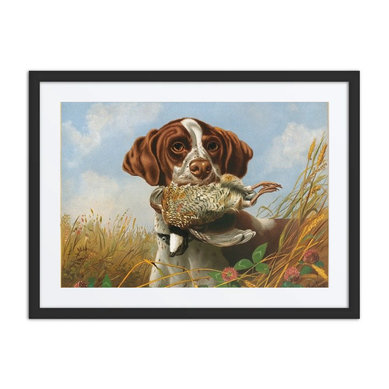 Pointer and Quail