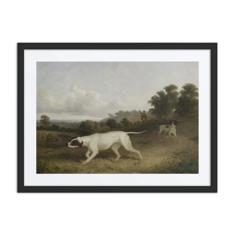 Pointers in a Landscape