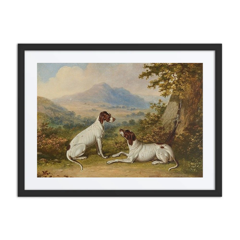 Pointers in an Extensive Landscape